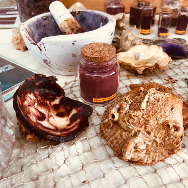 Murex snails – source of authentic Tyrian purple dye