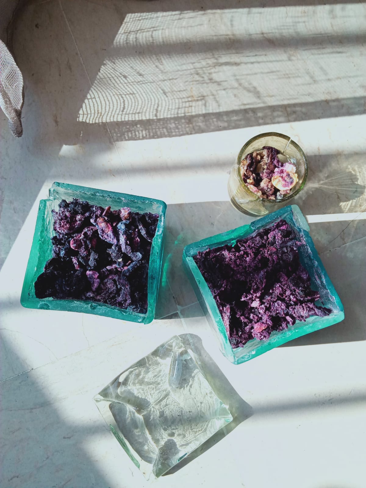 Dried glands arranged in teal glass dishes under natural sunlight