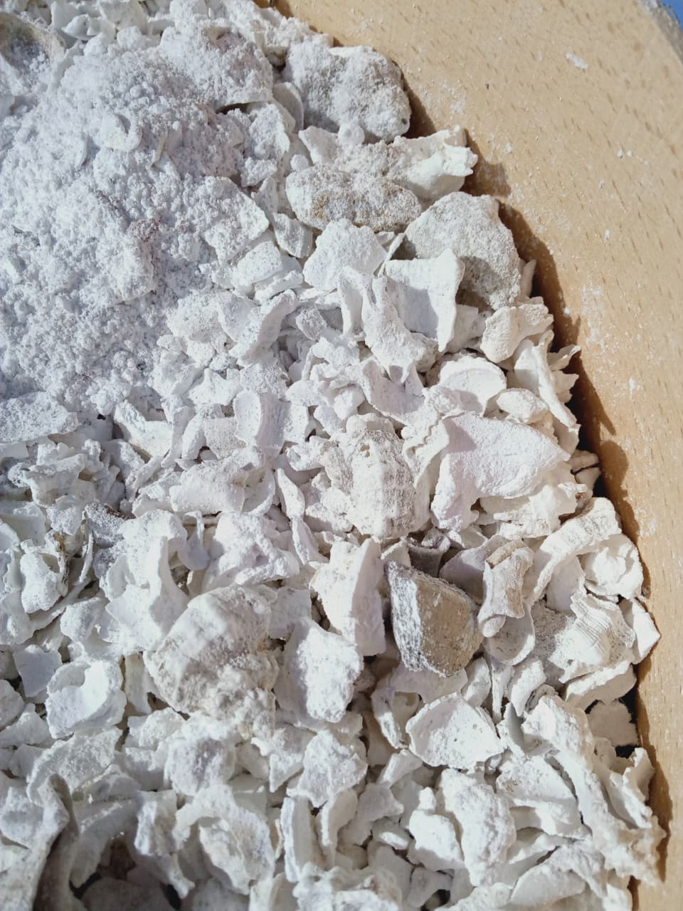 Fine white Murex shell powder ready for gesso