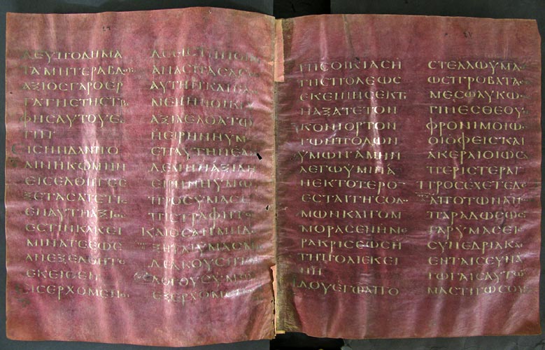 The Codex Purpureus Petropolitanus — a 6th-century purple manuscript with gold script